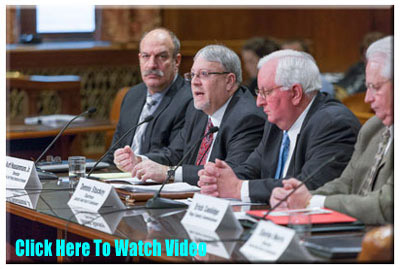 Senate Committees Hearing