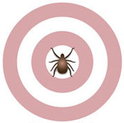 Lyme Disease Target