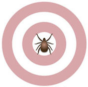 Lyme Disease Target