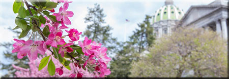 Springtime at the Capitol