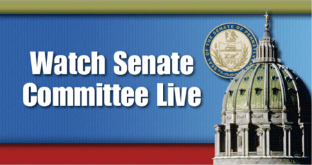 Senate Session Live