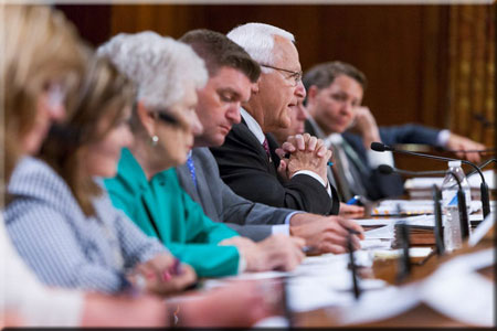 Senate Joint Public Hearing