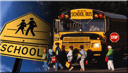 School Bus Safety