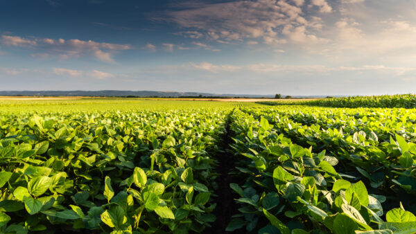 Yaw Announces Additional Farmland Preserved in Lycoming, Union Counties