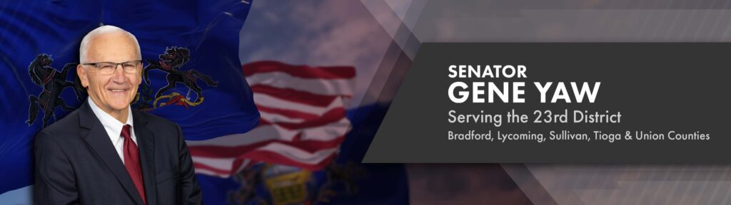 Biography Senator Yaw