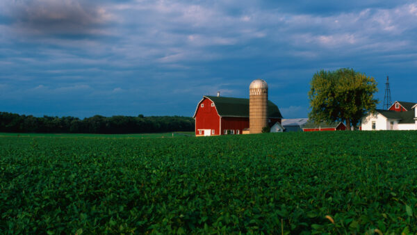 Yaw, Owlett Highlight Local Investments in Agricultural Innovation