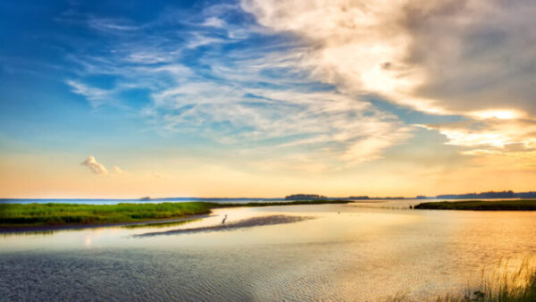 Yaw Issues Statement on Release of 2026 Chesapeake Bay and Watershed Report Card