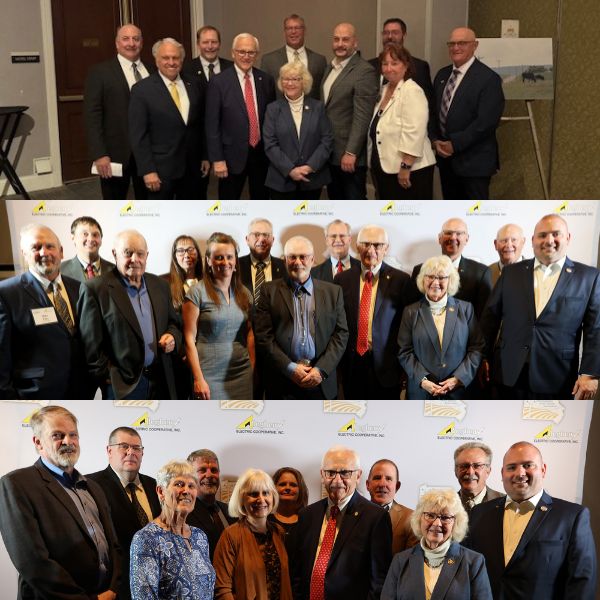 Photo collage of Sen. Yaw with a group of professionals posing in front of a branded backdrop for Allegheny Electric Cooperative at what appears to be a formal event