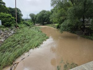 A muddy, fast moving creek flows between grassy banks and large trees after heavy rainfall.
