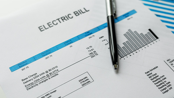 White and blue paper copy of an electric bill, with listed charges and a graph of power usage