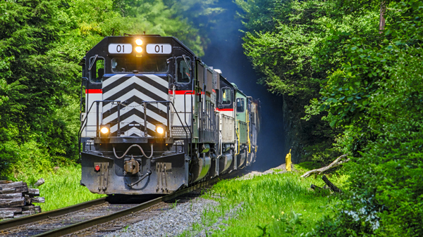 Freight train with four diesel locomotives emerges from a tunnel in dense forested hilly area with a trail of blue exhaust smoke. Local railroad infrastructure provides transport links for business and industry. Logos, paint scheme have been edited and the locomotive number is fictitious.