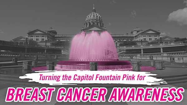 Breast Cancer Awareness Pink Capitol Fountain