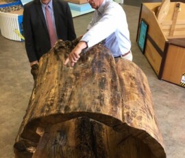 May 10, 2018 - Sen. Yaw visits the Lewisburg Children's Museum in Union County. 05/10/18